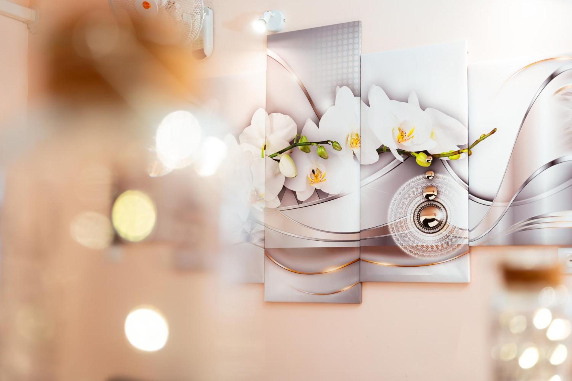 Ortensie Home روما المظهر الخارجي الصورة